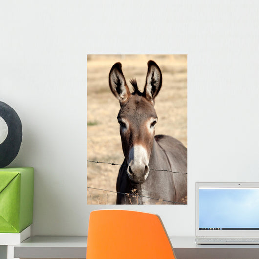 Funny Donkey Looking Camera Wall Decal
