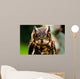 Owl Wall Mural