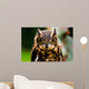 Owl Wall Mural