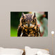 Owl Wall Mural