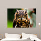 Owl Wall Mural