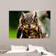 Owl Wall Mural