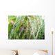 Spinnennetz mit Morgentau :) Wall Mural