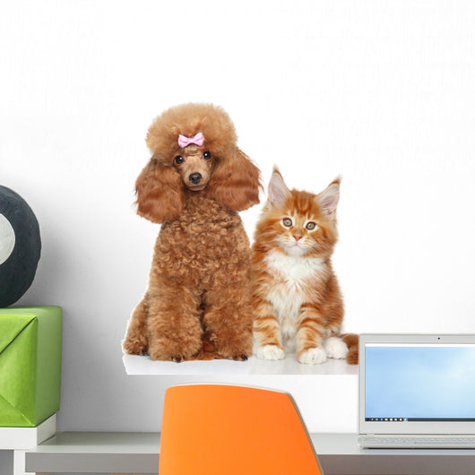 Poodle and Cat Wall Decal
