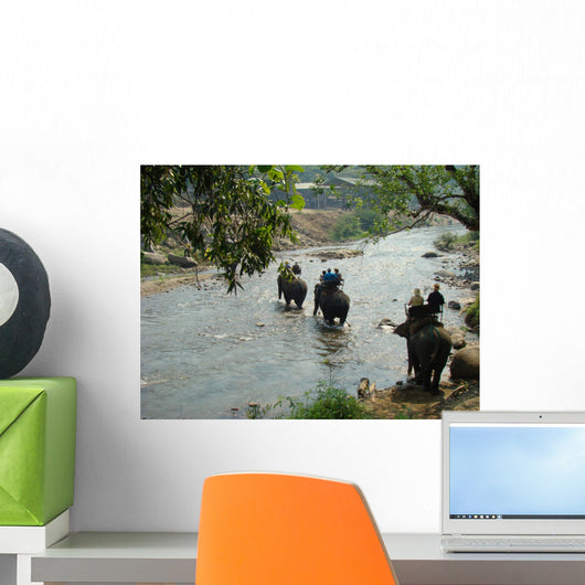 Crossing the river Wall Mural