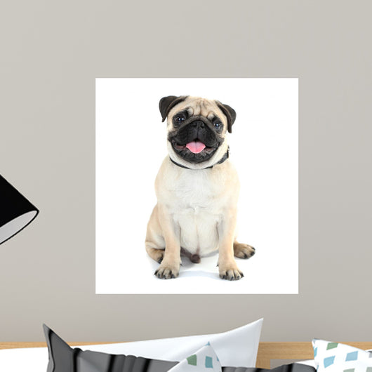 Funny Cute and Playful Wall Decal