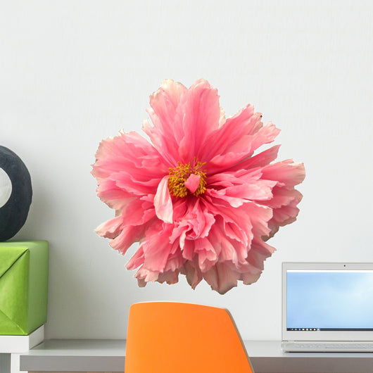 Flower Decals - Peony Wall Decal