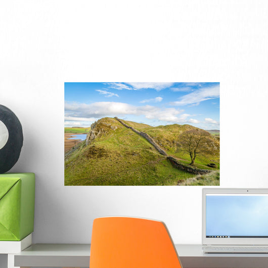 Hadrian's Wall looking at the famous sycamore gap Wall Mural
