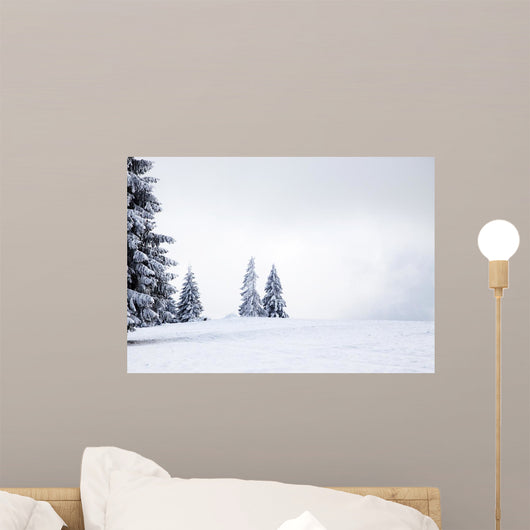 Christmas with Snowy Fir