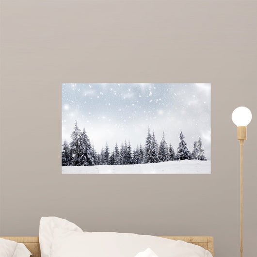 Christmas with Snowy Fir