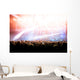 Concert Crowd Wall Mural