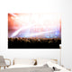 Concert Crowd Wall Mural