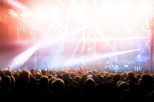 Concert Crowd Wall Mural
