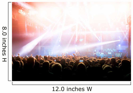 Concert Crowd Wall Mural