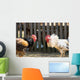 Roosters Wall Mural