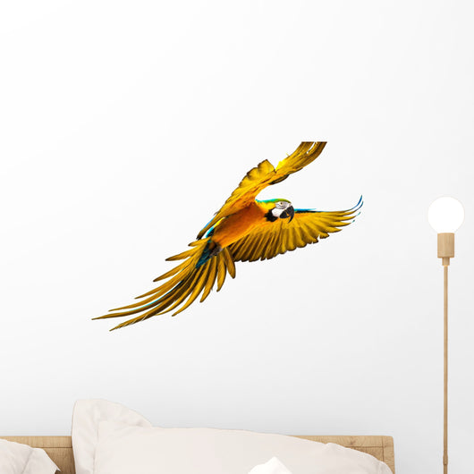 Colourful Flying Parrot White