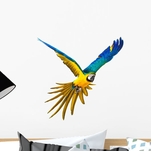 Colourful Flying Parrot White