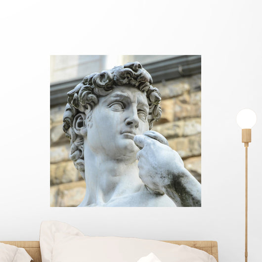 David by Michelangelo Wall Mural