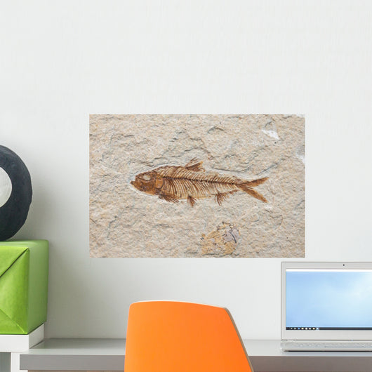 fossil fish Wall Mural