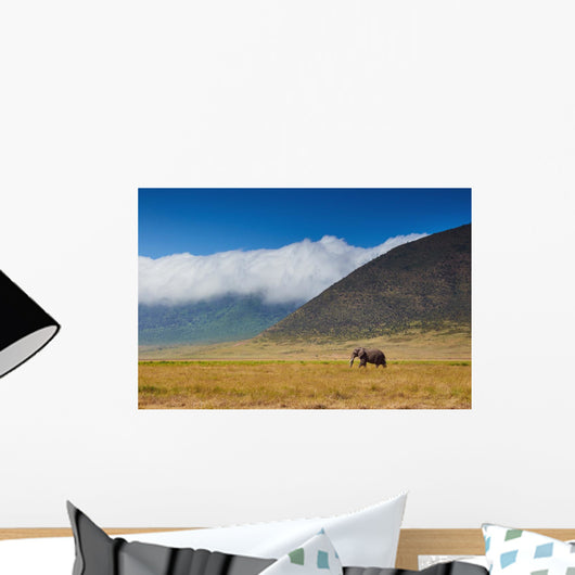 large male elephant walking in the savannah Wall Mural