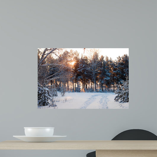 Winter Forest Sunrise Look