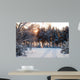 Winter Forest Sunrise Look
