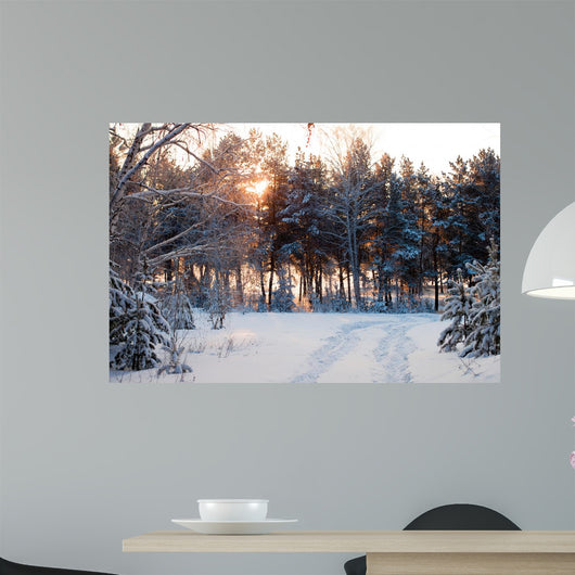 Winter Forest Sunrise Look