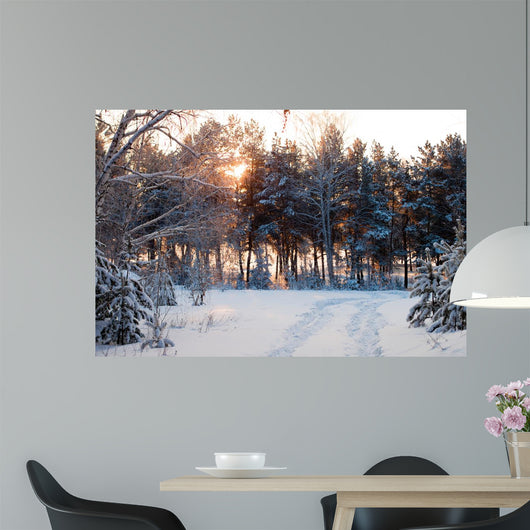 Winter Forest Sunrise Look
