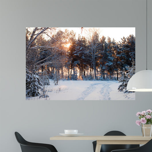 Winter Forest Sunrise Look
