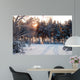 Winter Forest Sunrise Look