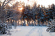 Winter Forest Sunrise Look