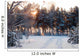 Winter Forest Sunrise Look