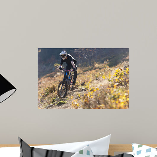 Mountainbiker Rides Autumn Path