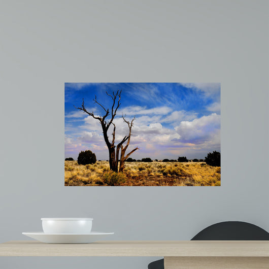 Lone Tree