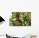 Full open wings of flying male Lyle's flying fox Wall Mural
