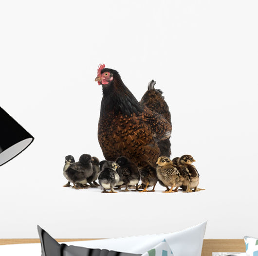 Hen and her chicks Wall Decal