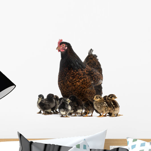 Hen and her chicks Wall Decal