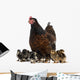 Hen and her chicks Wall Decal