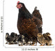 Hen and her chicks Wall Decal