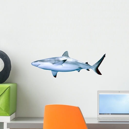 Shark Wall Decal