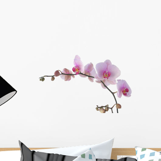 Flower Decals - Bunch of orchid with lila flowers Wall Decal