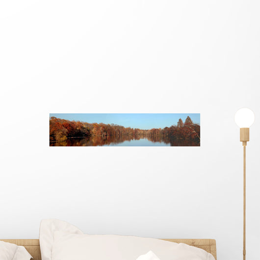 Autumn at the forest of central New Jersey State Wall Mural