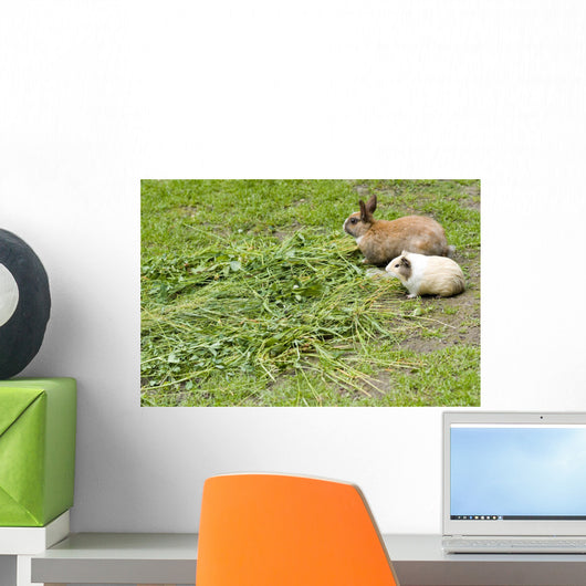 Rabbit and guinea pig Wall Mural