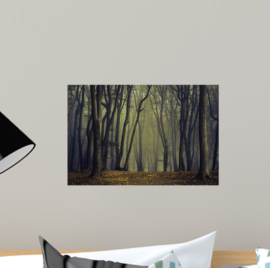 Spooky Silhoutte Trees Dark