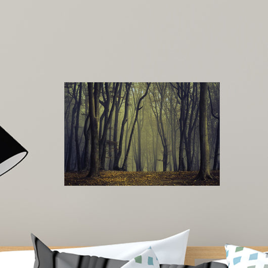 Spooky Silhoutte Trees Dark