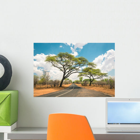 African landscape with empty road and trees in Zimbabwe - On the Wall Mural