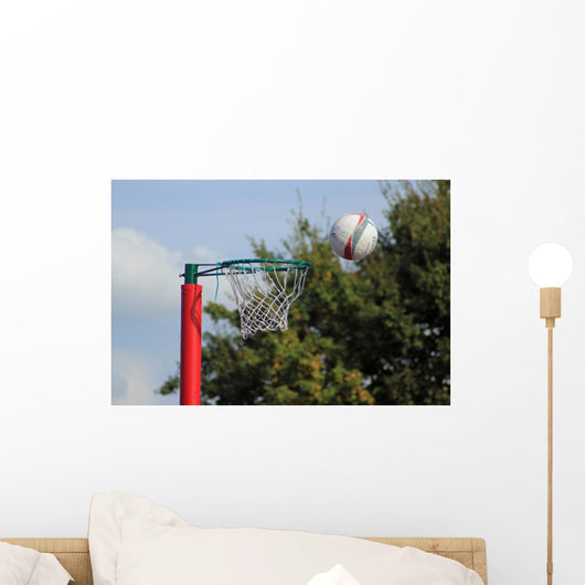 Shot of a net ball going into the net Wall Mural