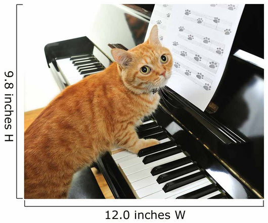 Cute Piano Cat Wall Mural