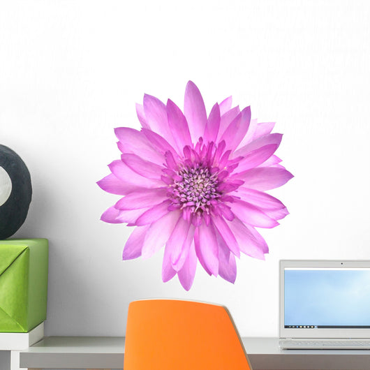 Pink Conflower Flower Wall Decal