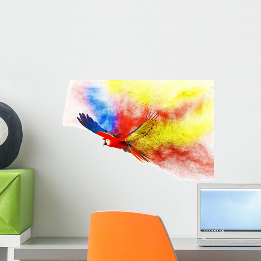 Colourful flying parrot isolated on white Wall Mural